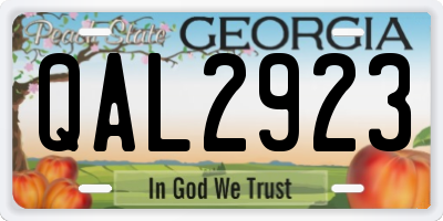 GA license plate QAL2923