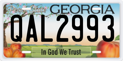 GA license plate QAL2993