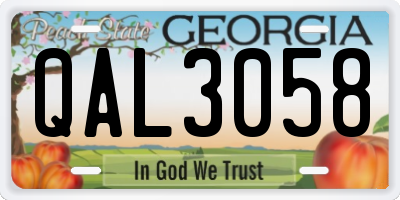 GA license plate QAL3058