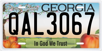 GA license plate QAL3067