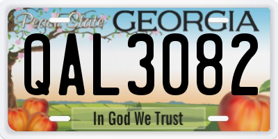 GA license plate QAL3082