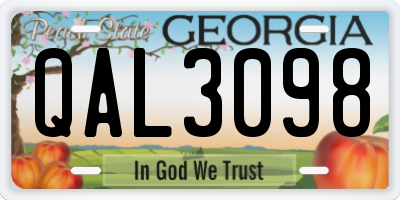 GA license plate QAL3098