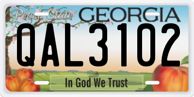 GA license plate QAL3102