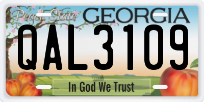 GA license plate QAL3109