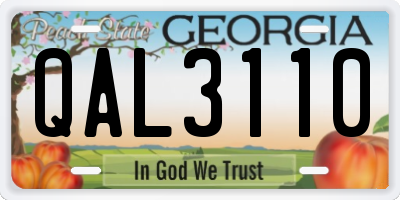 GA license plate QAL3110