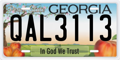 GA license plate QAL3113