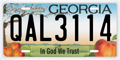 GA license plate QAL3114