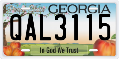 GA license plate QAL3115