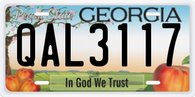 GA license plate QAL3117