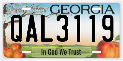 GA license plate QAL3119