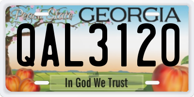 GA license plate QAL3120