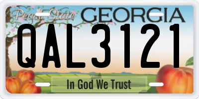 GA license plate QAL3121