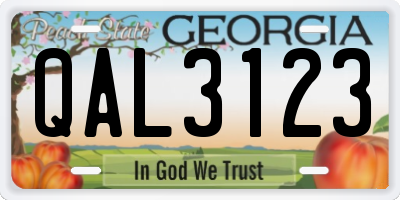 GA license plate QAL3123