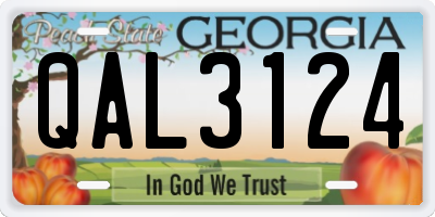 GA license plate QAL3124