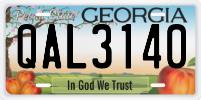 GA license plate QAL3140