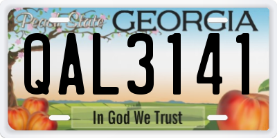 GA license plate QAL3141