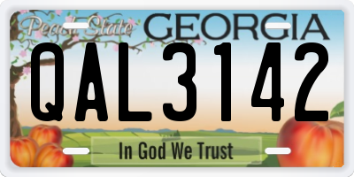 GA license plate QAL3142