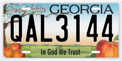 GA license plate QAL3144