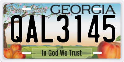 GA license plate QAL3145