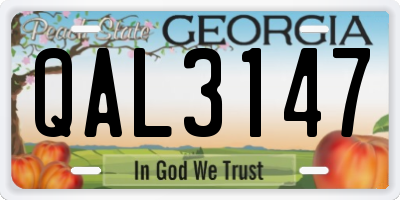 GA license plate QAL3147