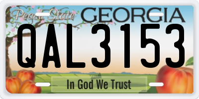 GA license plate QAL3153