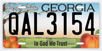 GA license plate QAL3154