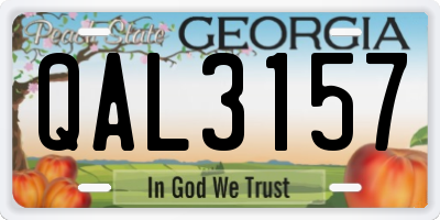 GA license plate QAL3157