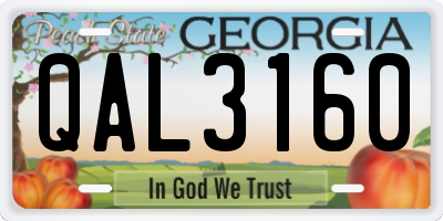 GA license plate QAL3160