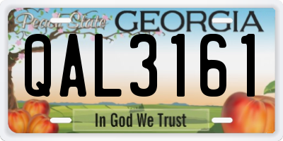 GA license plate QAL3161