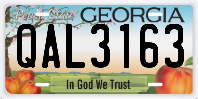 GA license plate QAL3163