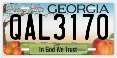 GA license plate QAL3170