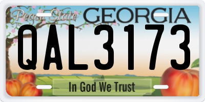 GA license plate QAL3173