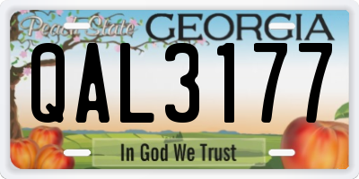 GA license plate QAL3177