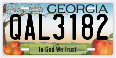 GA license plate QAL3182