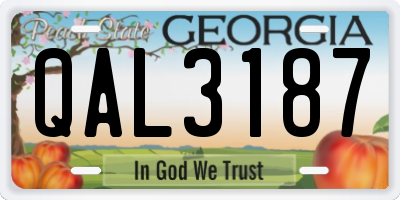 GA license plate QAL3187