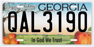 GA license plate QAL3190