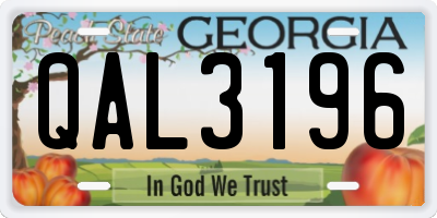 GA license plate QAL3196