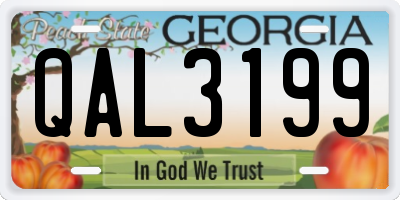 GA license plate QAL3199