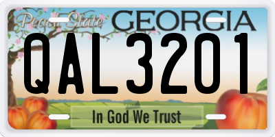 GA license plate QAL3201