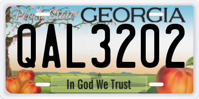 GA license plate QAL3202