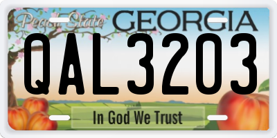 GA license plate QAL3203