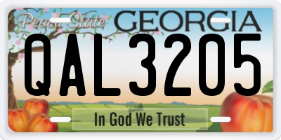 GA license plate QAL3205