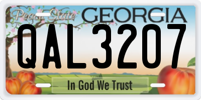 GA license plate QAL3207