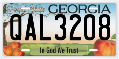 GA license plate QAL3208