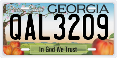 GA license plate QAL3209