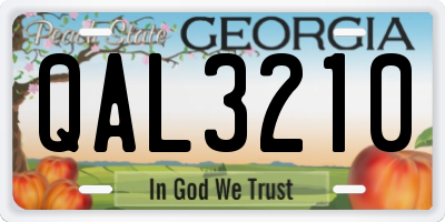 GA license plate QAL3210