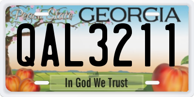 GA license plate QAL3211