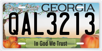 GA license plate QAL3213