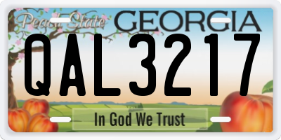 GA license plate QAL3217