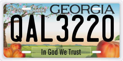 GA license plate QAL3220